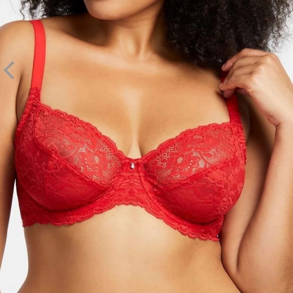 Divine Full Coverage lace Bra